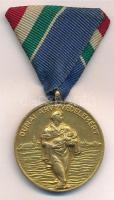 1954. 1954. évi Dunai Árvízvédelemért aranyozott bronz kitüntetés mellszalagon T:1-,2
