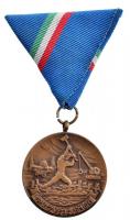 1970. Árvízvédelemért bronz kitüntetés nem eredeti mellszalagon, tokban T:1 NMK 663.