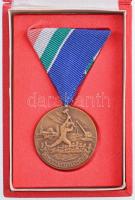 1970. "Árvízvédelemért" bronz kitüntetés mellszalagon, eredeti tokban T:1 NMK 663