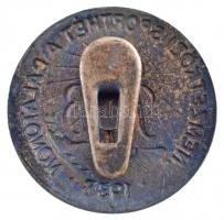 1938. "VII. Nemzetközi Sporthét a Balatonon" fém gomblyukjelvény (29mm) T:2