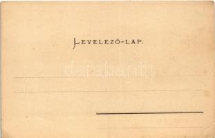 Budapest I. Az új királyi vár és jobbparti részlet, gőzhajó. Ganz Antal 120. (EK)