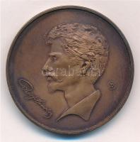 Lapis András (1942-) 1981. "10 éves a Kiskőrösi Csoport / Petőfi szülőháza" bronz emlékérem (42,5mm) T:1- Adamo KK2