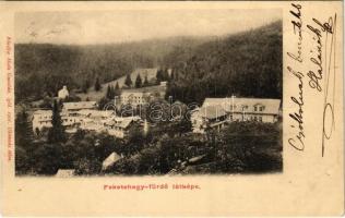1903 Feketehegyfürdő, Feketehegy, Cernohorské kúpele (Merény, Vondrisel, Nálepkovo); látkép. Matz Gusztáv kiadása / general view