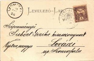 1901 Szklenófürdő, Sklené Teplice; Úri fürdő, látkép, park / spa, bath, general view, park. Stengel ...