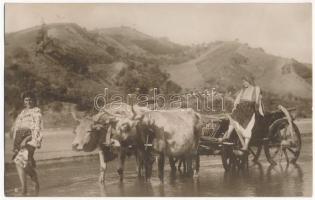 Román népviselet, ökörszekér. Colectia A. Bellu. C. Sfetea / Romanian folklore, oxen cart