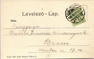 1905 Budakeszi, Erdő utca, Rapolter István üzlete. Stern Jakab kiadása, Art Nouveau