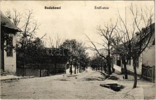 1915 Budakeszi, Erdő utca. Schneider Ferenc kiadása