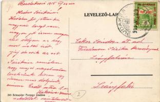 1915 Budakeszi, Erdő utca. Schneider Ferenc kiadása