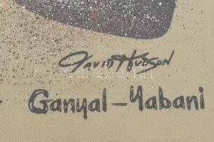 David Hudson (1962-): Ausztrál bennszülött festmény. Olaj, vászon, jelzett, üvegezett fakeretben. 42...