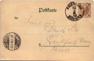 1898 (Vorläufer) Frydlant, Friedland (i. Böhmen); Schloss Friedland / castle (EK)