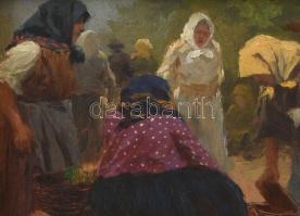 Pállya Celesztin (1864-1948): Piaci kofák. Olaj, falemez, jelzett, keretben, 9x14 cm