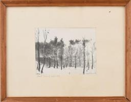 Vasil Ivanof (?-?): Erdőrészlet sétálóval, Szófia, 1957. Vegyes technika, papír. 11x15 cm. Üvegezett, sérült fakeretben.