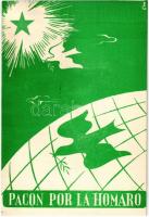 Pacon por la Homaro / Peace for Humanity. Esperanto propaganda art postcard "1887-1957 Esperanto Lingvo Internacia Budapest 1957. június 8." So. Stpl. (fa)