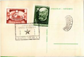 Pacon por la Homaro / Peace for Humanity. Esperanto propaganda art postcard "1887-1957 Esperant...