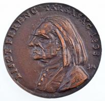 Borsos Miklós (1906-1990) ~2000-2010. Liszt Ferenc Társaság 1893 egyoldalas, öntött bronz emlékérem, LISZT BICENTENÁRIUM 2011 LISZT FERENC TÁRSASÁG dísztokban (82mm) T:1-