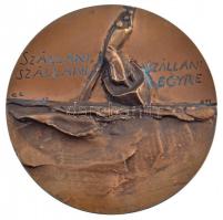 Gáti Gábor (1937- ) 1977. "Ady 1877-1919 / 'Szállani, Szállani, Szállani Egyre" Br pl...