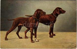 1928 Dogs. T.S.N. Serie 1923.