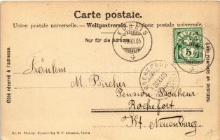 1905 Barri. St. Bernhard dog. Photogr. Kunstverlag D.C. Adamson (Davos) Nr. 70. (EK)