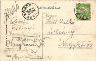 1908 Budapest XI. Gellérthegy a Műteremmel és Kemenes utcai villákkal