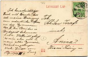 1909 Budapest XIV. Bitskey Gergely "Szinkör" Nagy vendéglő és étterem, bor és sör csarnok,...