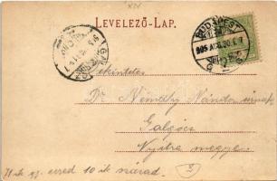 1905 Budapest XIV. Kolegerszky Viktor kioszkja a Városligetben, Stefánia út, kert