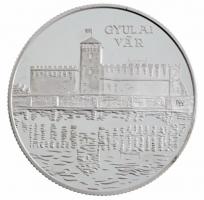 2007. 5000Ft Ag "Gyulai vár" kapszulában, tájékoztatóval T:PP ujjlenyomatos Adamo EM210