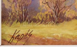 Kapás Tamás (1969-): Ősz. Olaj, farost, jelzett, fakeretben, 9x19 cm