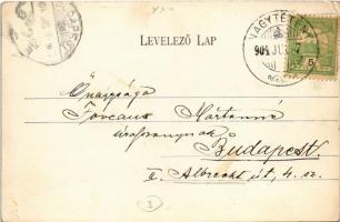 1904 Budapest XXII. Nagytétény, hajó állomás, Fő utca, Uradalmi kastély, Berger József üzlete (EK)