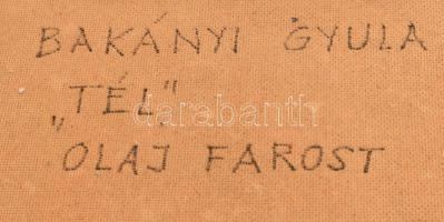 Bakányi Gyula (1955-): Tél. Olaj, farost, jelzett, hátoldalán autográf felirattal, 70×80 cm