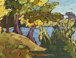 Mártonfi Benke Márta (1958-): Ragyogás (Körös holtág), 2021. Olaj, farost, jelzett. Hátoldalán autog...