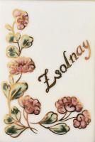 Hárs Éva: Zsolnay. Bp., 2006, Helikon. Kiadói bársony-kötés, porcelán plakettel, jó állapotban, papí...