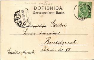 1904 Bosn. Bauern-Greislerei / Scoski sitnicar / Bosnyák gazdabolt / Bosnian folklore, farmer's...