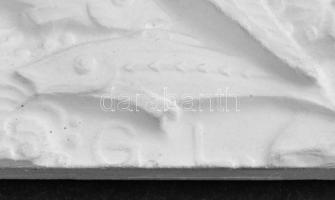 Göröntsér Greff Lajos (1888-1976): Tengeri halak. Gipsz negatív forma. Jelzett. 19x26cm