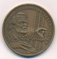 Peternák Gusztáv (1928-) 1982. "Bartók Béla 1881-1981 / Kodály Zoltán 1882-1982" Br emléké...