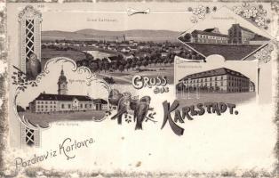 Karlovca with mill and military school litho (EB)
