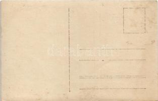 Italienisches Caproni 1915-1917. Abgeschossen in September 1916 / WWI Austro-Hungarian K.u.K. milita...