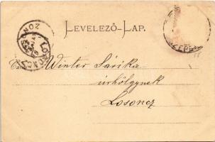 Kassa, Kosice; Székesegyház. Maurer Adolf kiadása / cathedral, gate. Art Nouveau (ázott sarok / wet ...