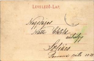 1905 Szliács, Sliac; látkép. Kiadja Lechnitzky Otto fénynyomdája 217. sz. / general view (Rb)