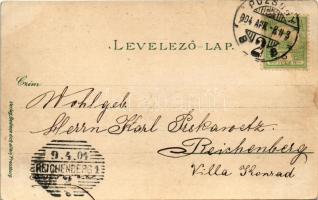 1904 Pozsony, Pressburg, Bratislava; Nemzeti és Palugyay szálloda, szökőkút. Verlag "Bediene di...