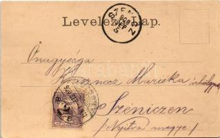 1900 Pozsony, Pressburg, Bratislava; látkép, vár, gőzhajó. Carl Otto Hayd Kunstanstalt / general vie...