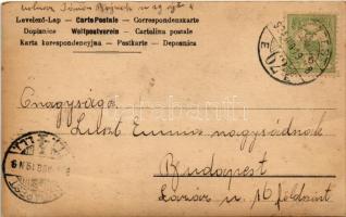 1904 Child. Weisz Hugó (Arad) (fa)