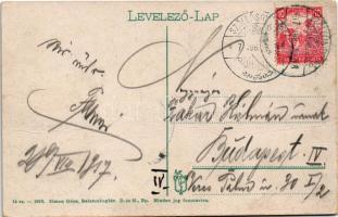 1917 Balatonboglár, Simon Jakab nyaralója. Simon Géza kiadása (EK)