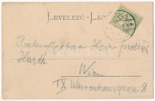 1903 Baja, Tóth Kálmán tér, piac. Ifj. Wagner Antal kiadása