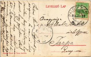 1913 Budapest XV. Rákospalota, Zápolya utca, Fortuna Mozgó mozi, villanyszerelés, fűszerkereskedés ü...