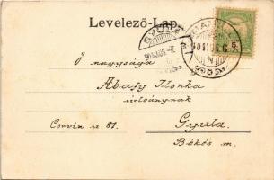 1904 Sasrétpuszta (Almamellék), Sas rét erdész lak (Ibafa-Baránya) / Forsthaus