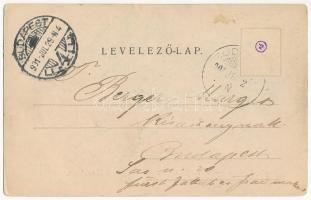 1901 Budakeszi, Grandits kávéház kertje. Stern Jakab kiadása