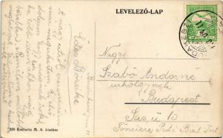 1913 Budakeszi, Fő utca, gyógyszertár. Krellwitz M.A. kiadása (EK)