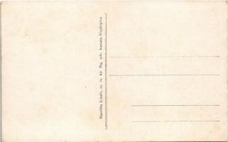 Lugos, Lugoj; Szőlőgazdaság és kastély. Naschitz László cs. és kir. fhg. udv. kamara fényképész / vi...