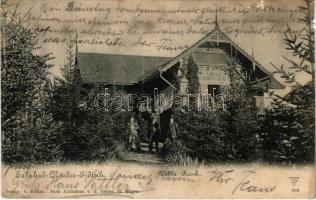 1905 Alsóidecs, Ideciu de Jos, Salzbad-Nieder-Eidisch; Villa Kosch (fl)