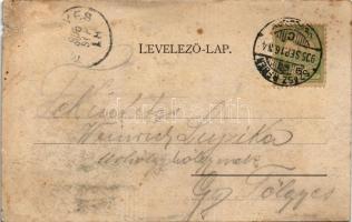 1905 Alsóidecs, Ideciu de Jos, Salzbad-Nieder-Eidisch; Villa Kosch (fl)